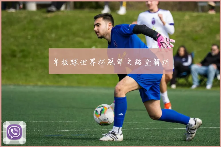 年板球世界杯冠军之路全解析